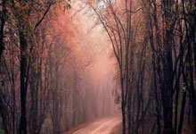 ag米兰：2025青岛马拉松将于4月20日开跑 永久参赛号码纪念服发布.