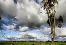 ag米兰：2025张家界武陵源马拉松开跑 肯尼亚选手包揽男、女冠军3-30 20：28.