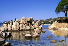 2025年01月11日球会友谊赫曼施塔特vs费尔干纳夫兹历史战绩，交战记录，比分预测.